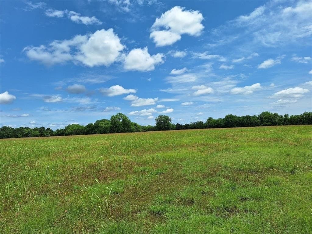 120.54 acres in Fannin County - photo 15