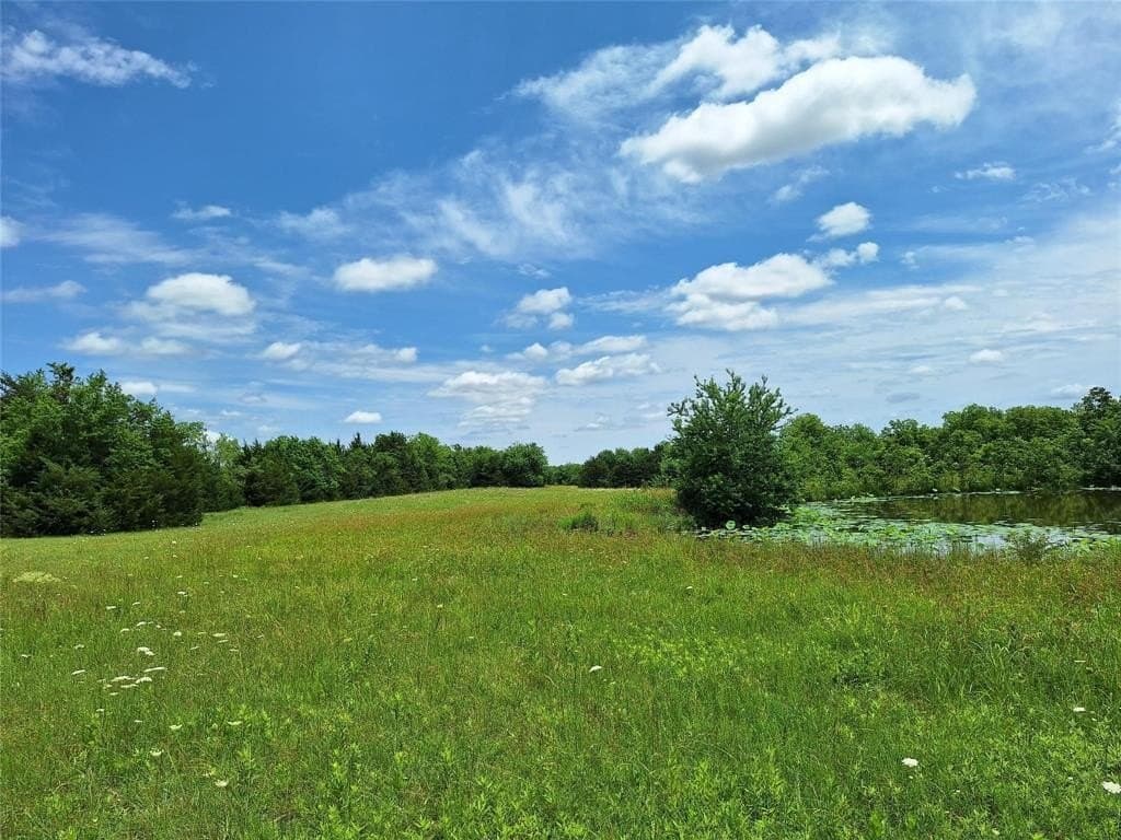 120.54 acres in Fannin County - photo 24