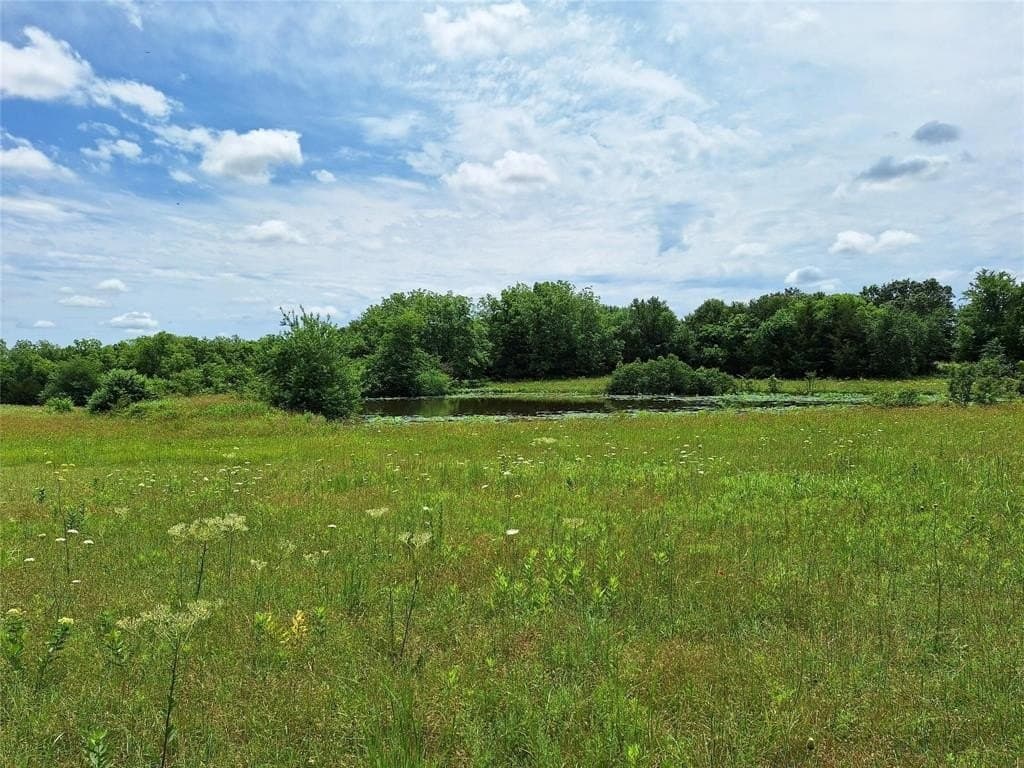 120.54 acres in Fannin County - photo 16