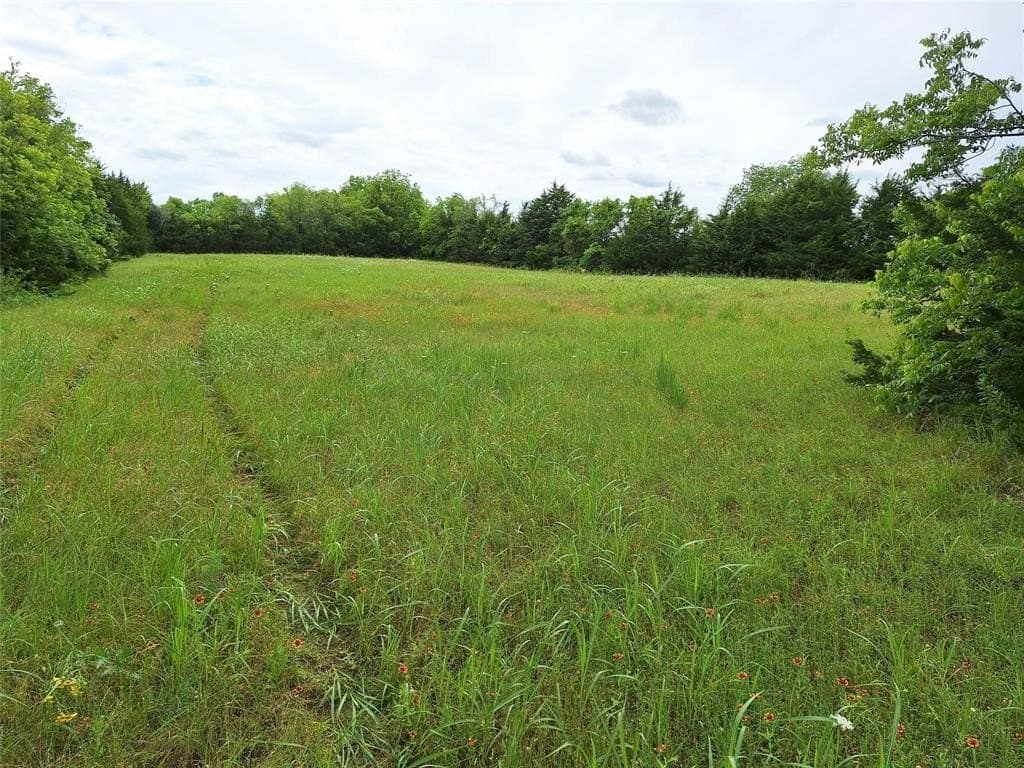 120.54 acres in Fannin County - photo 31