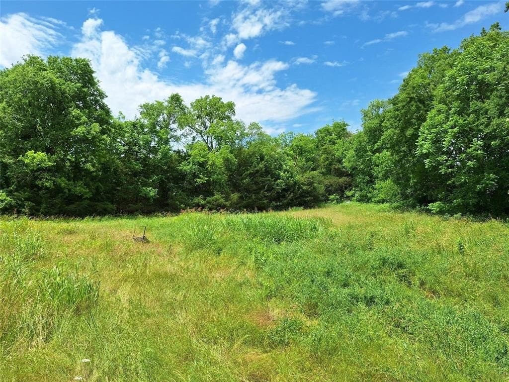 120.54 acres in Fannin County - photo 5