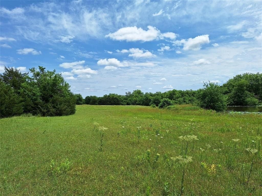 120.54 acres in Fannin County - photo 18