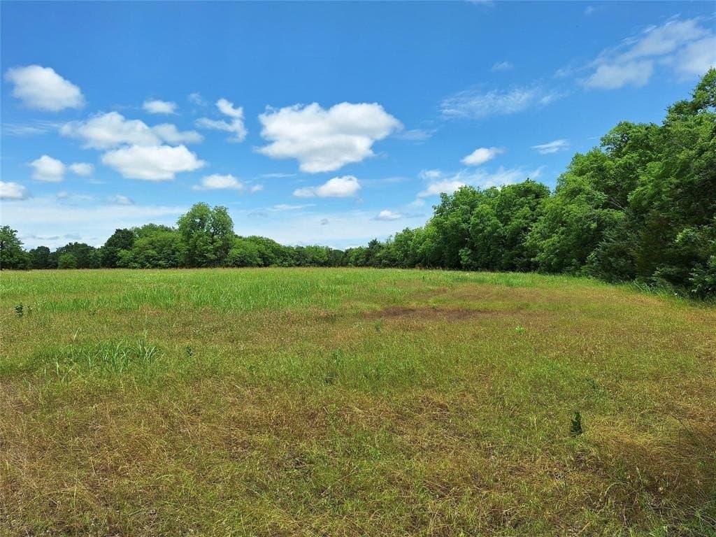 120.54 acres in Fannin County - photo 13