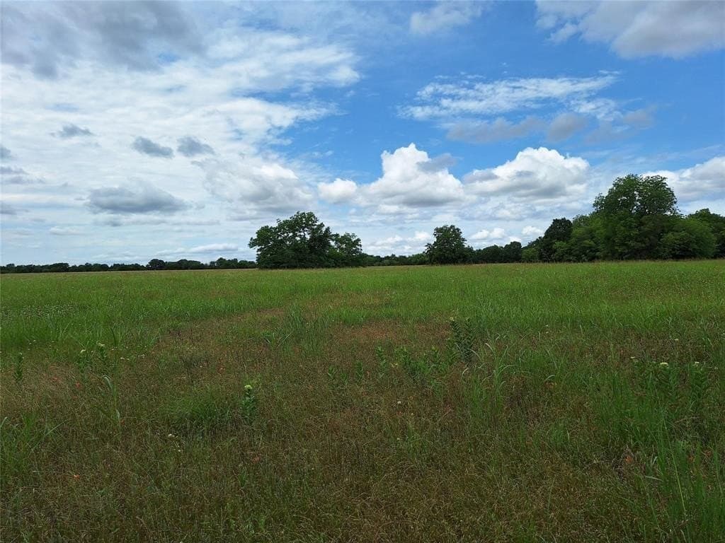 120.54 acres in Fannin County - photo 28