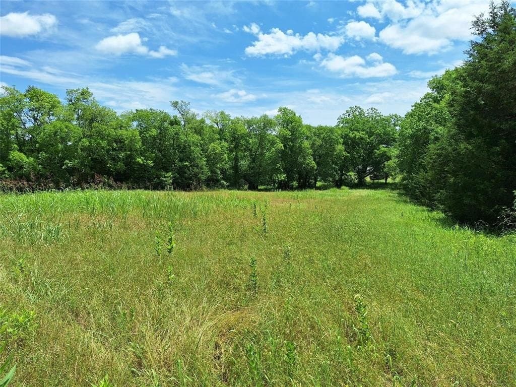 120.54 acres in Fannin County - photo 6