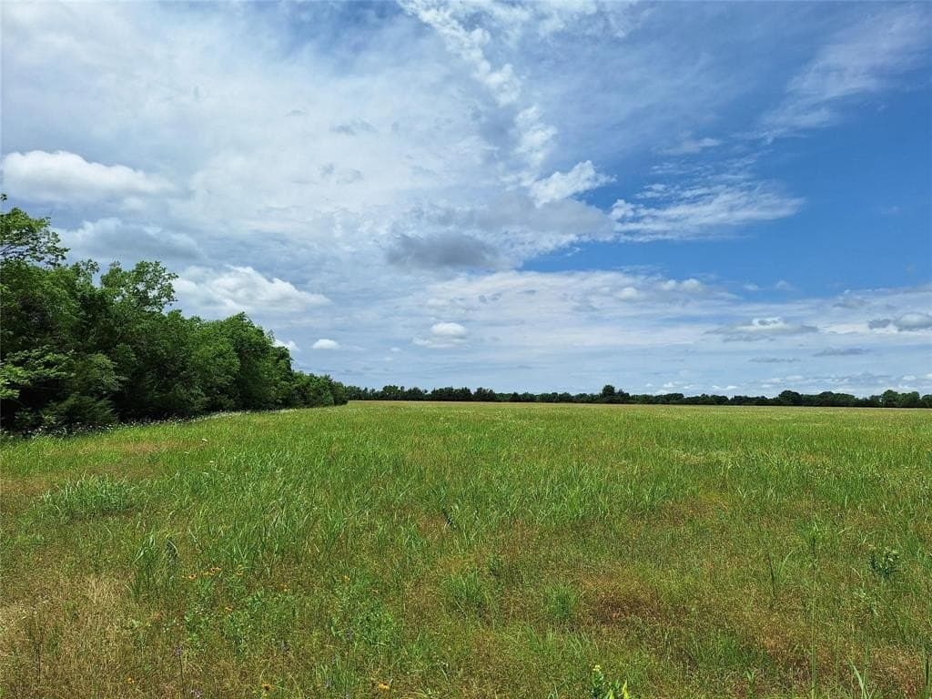 120.54 acres in Fannin County - photo 14
