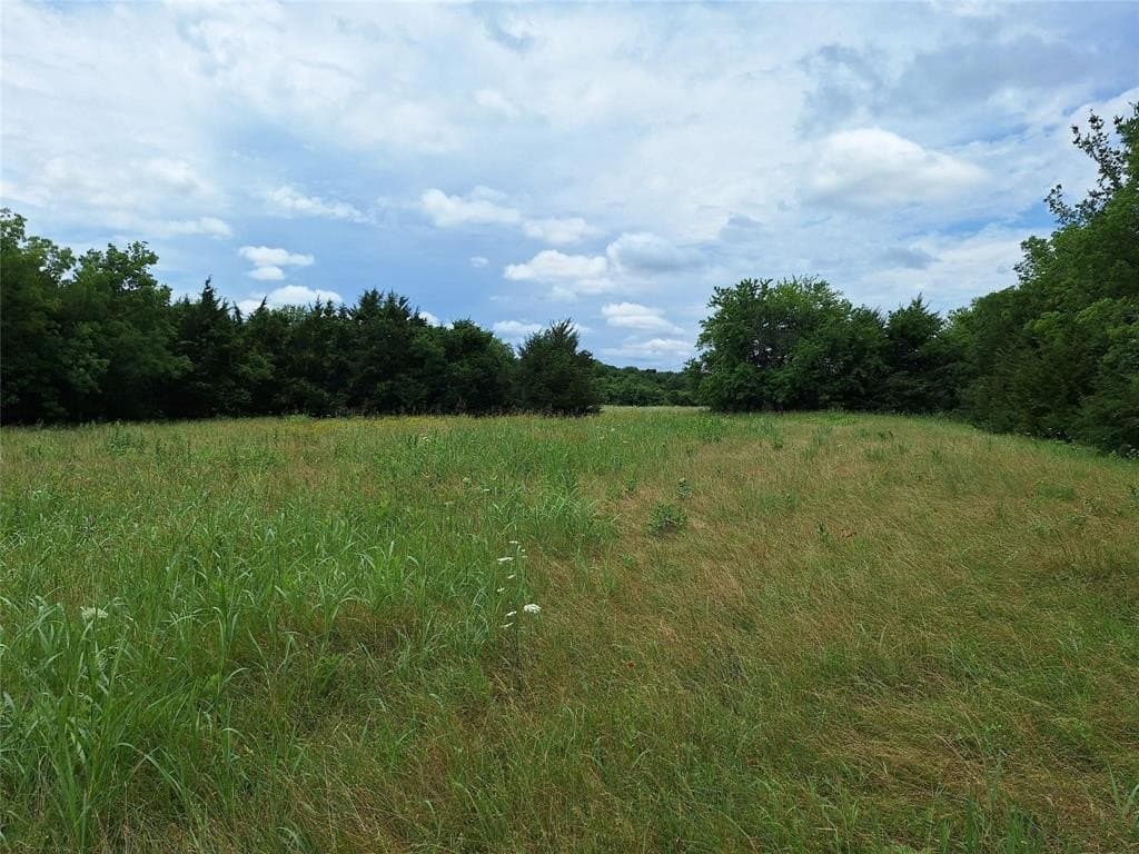 120.54 acres in Fannin County - photo 12