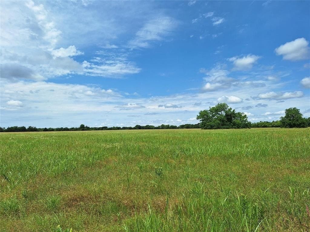 120.54 acres in Fannin County - photo 4