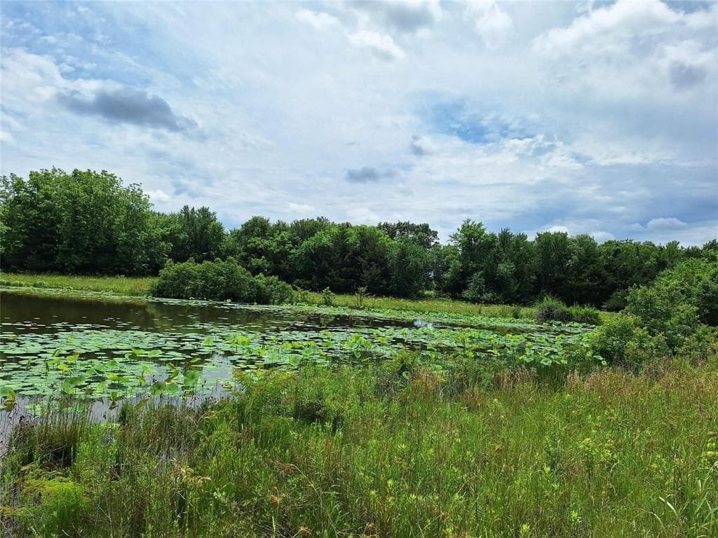 120.54 acres in Fannin County - photo 23