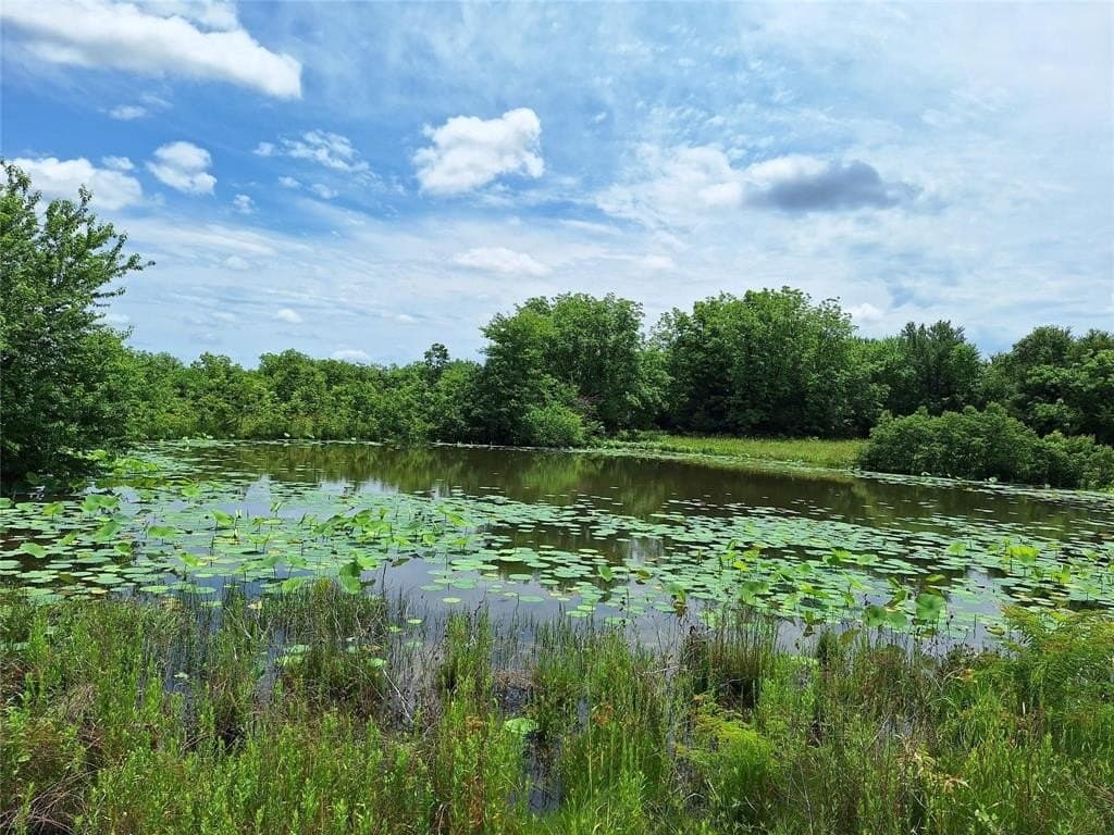 120.54 acres in Fannin County - photo 22