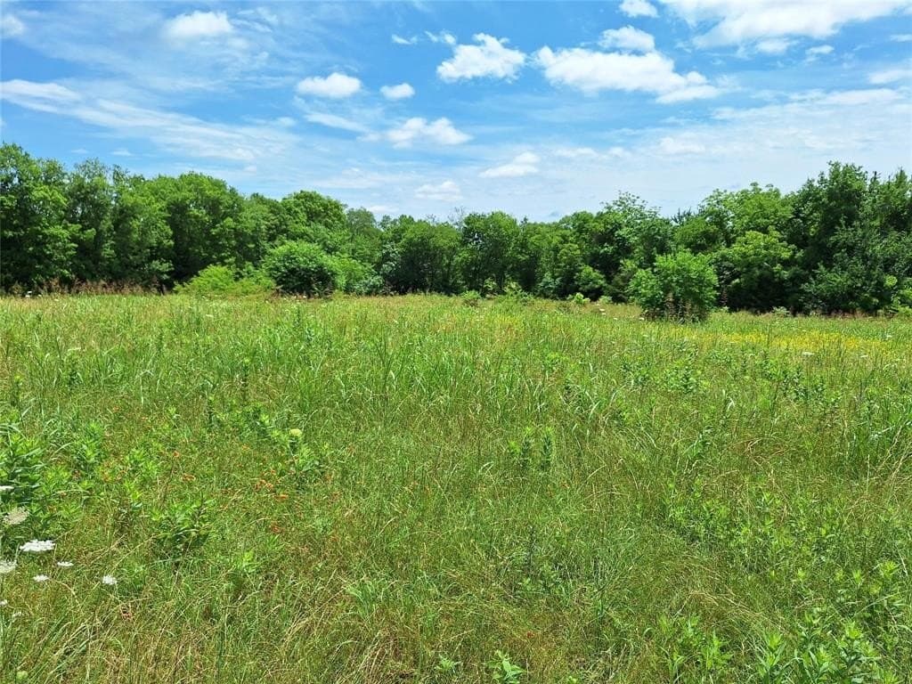 120.54 acres in Fannin County - photo 11