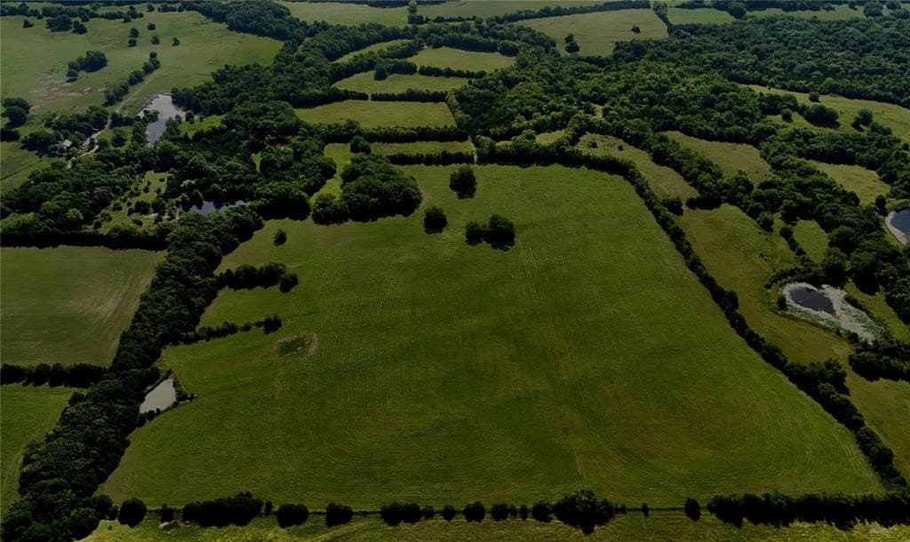 120.54 acres in Fannin County - photo 2