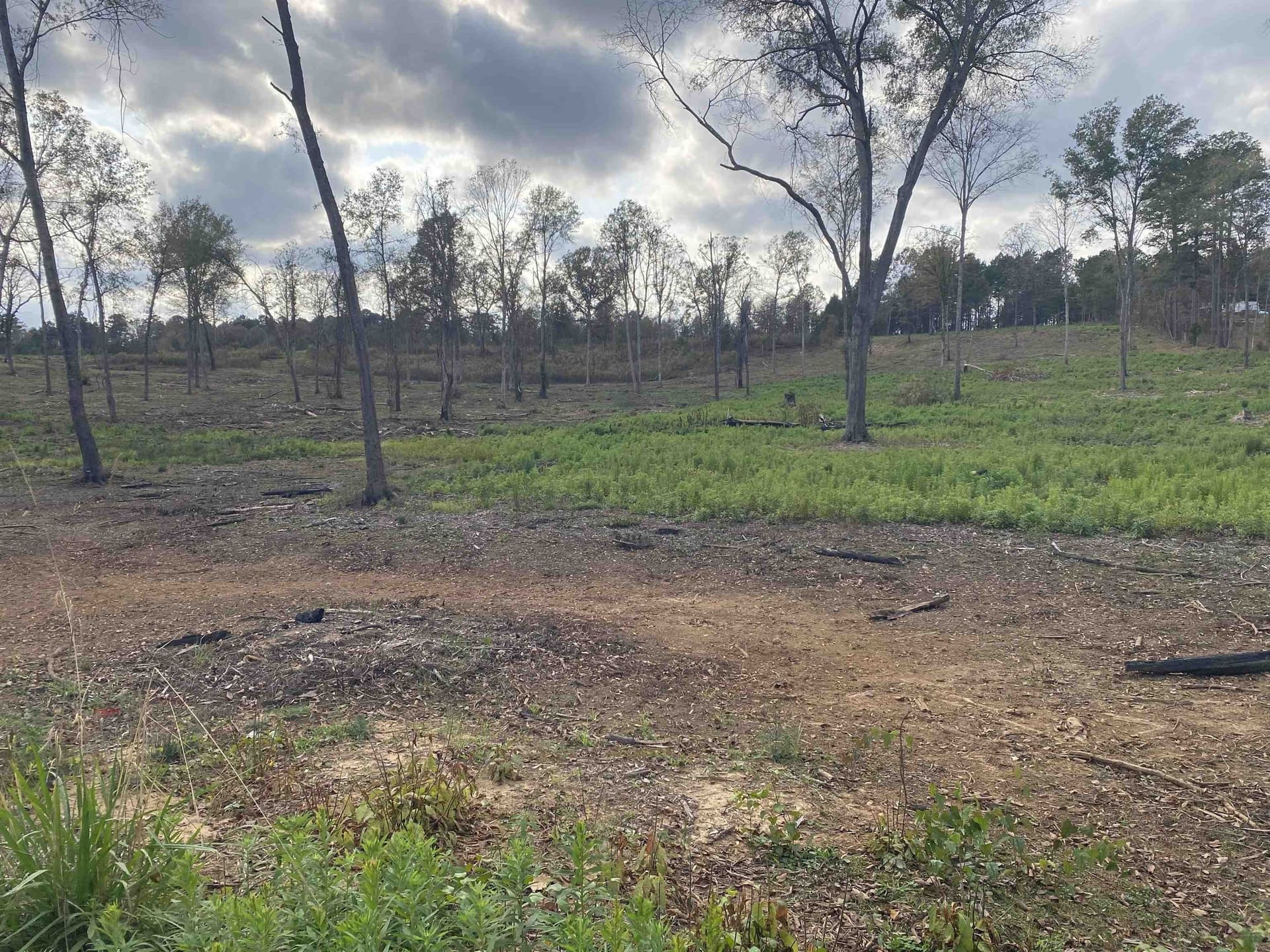 13.04 acres in Upshur County - photo 2