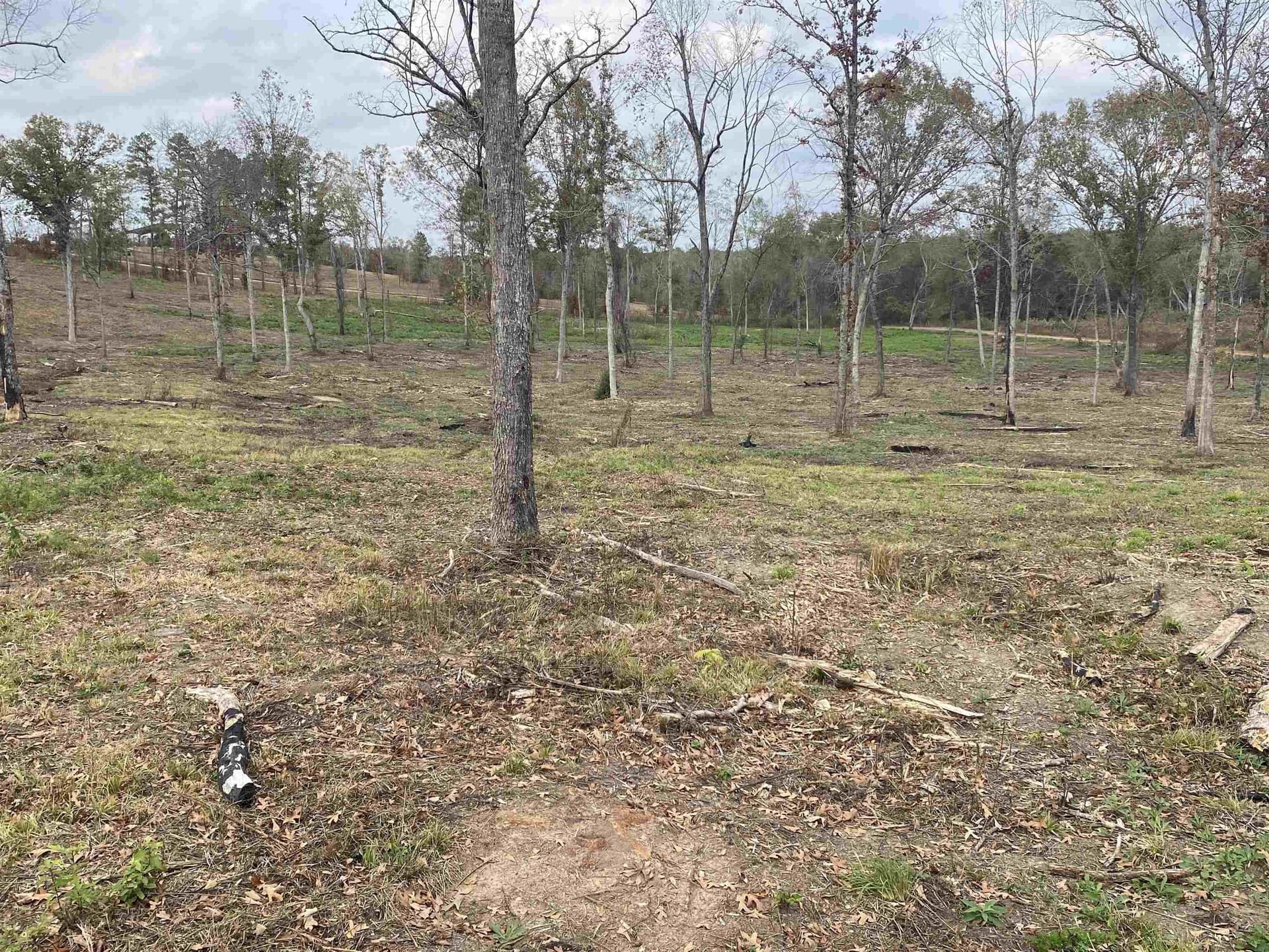 13.04 acres in Upshur County - photo 15
