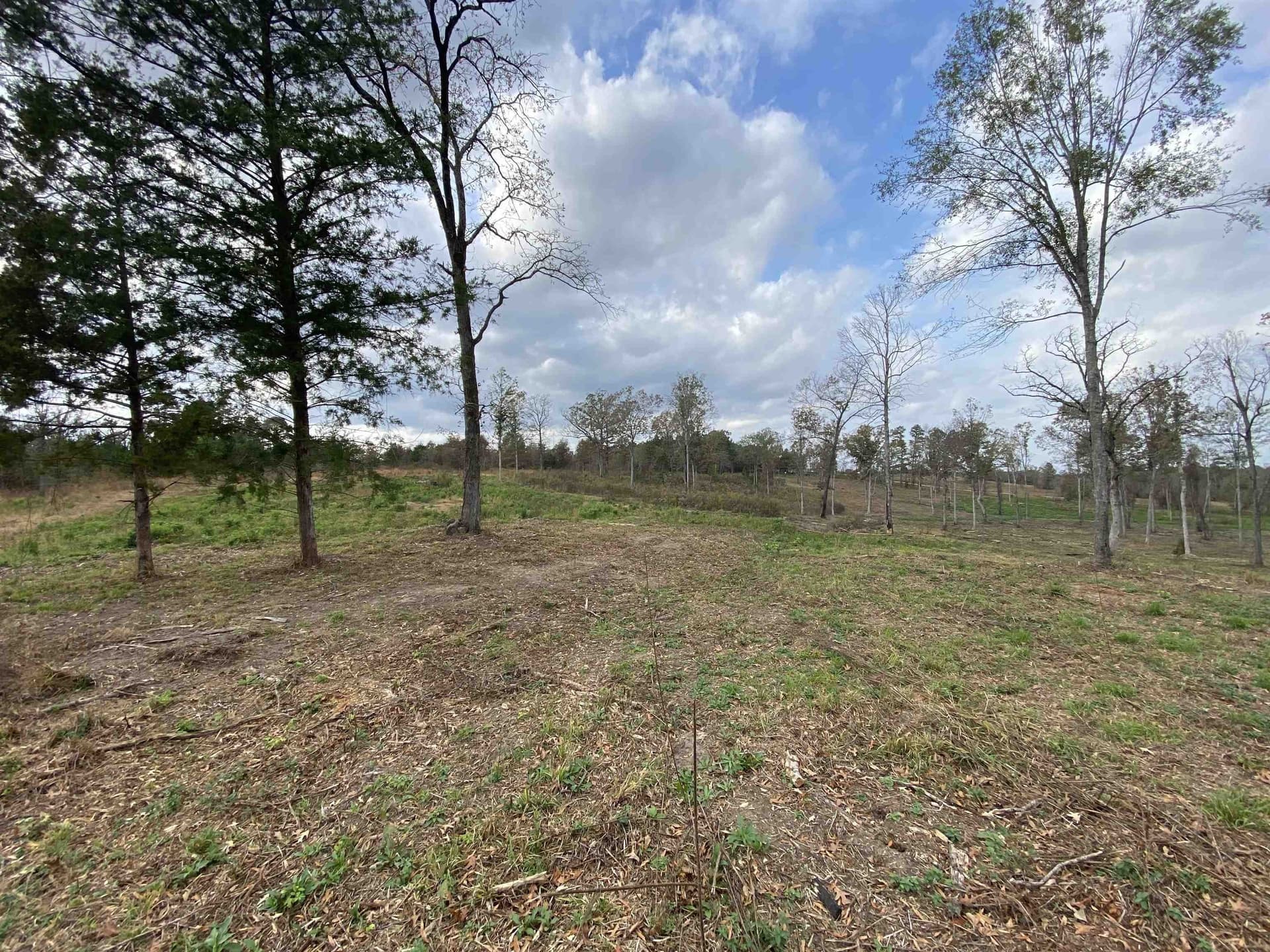 13.04 acres in Upshur County - photo 9
