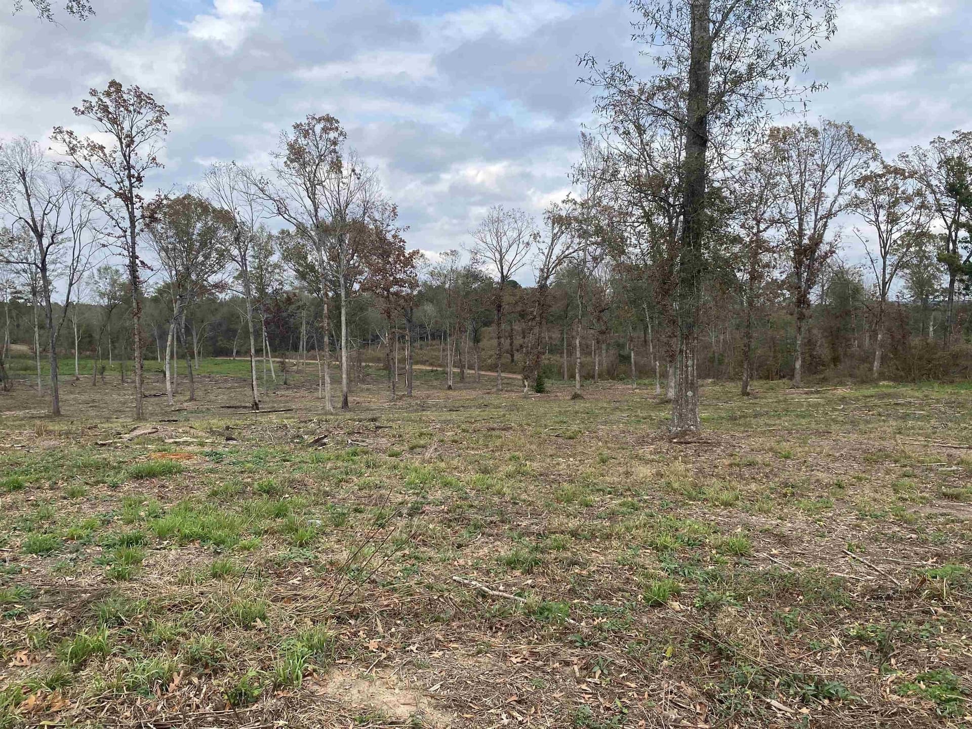 13.04 acres in Upshur County - photo 11
