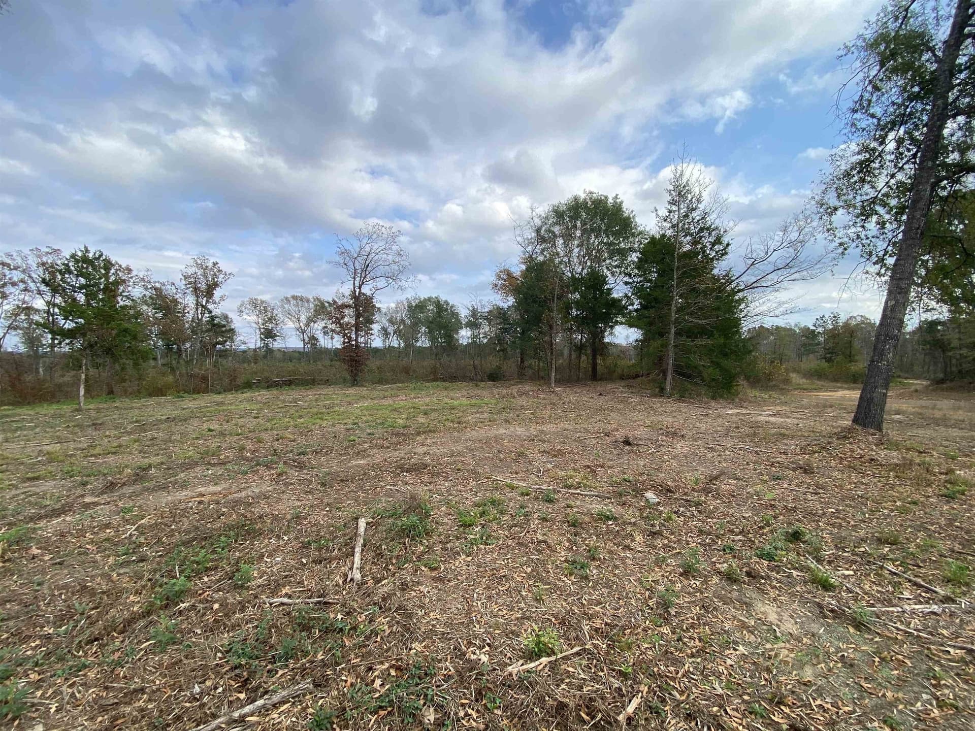 13.04 acres in Upshur County - photo 13