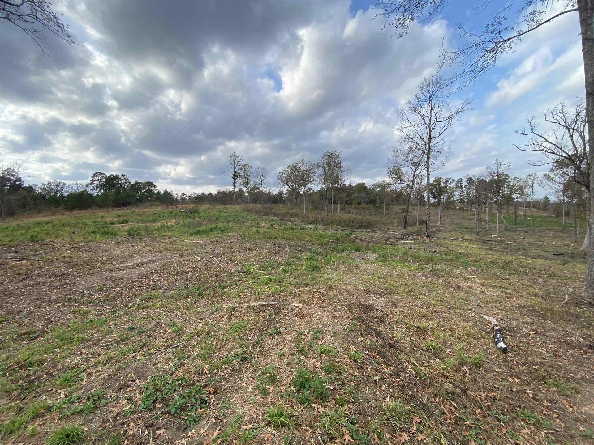 13.04 acres in Upshur County - photo 14