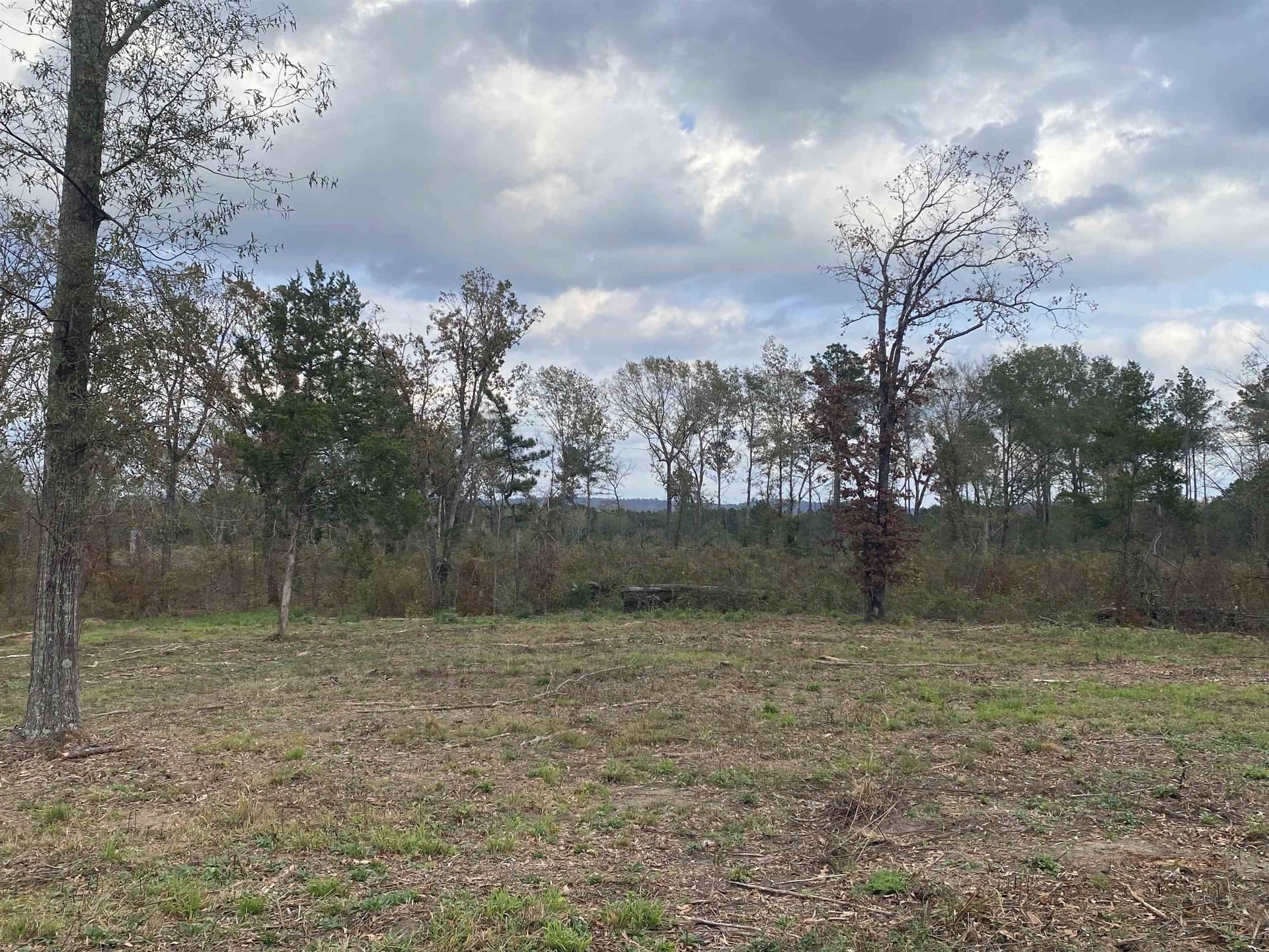 13.04 acres in Upshur County - photo 4