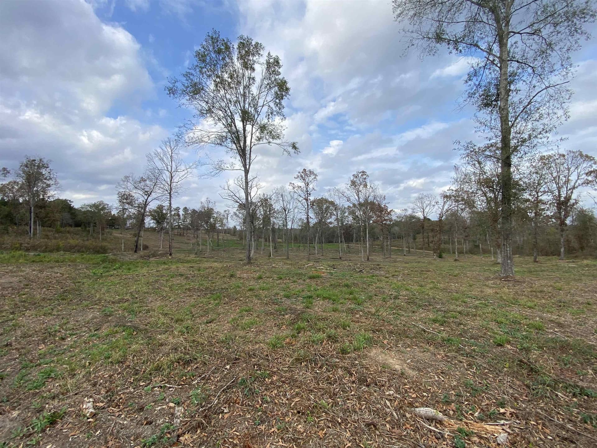 Tbd Verbena Rd