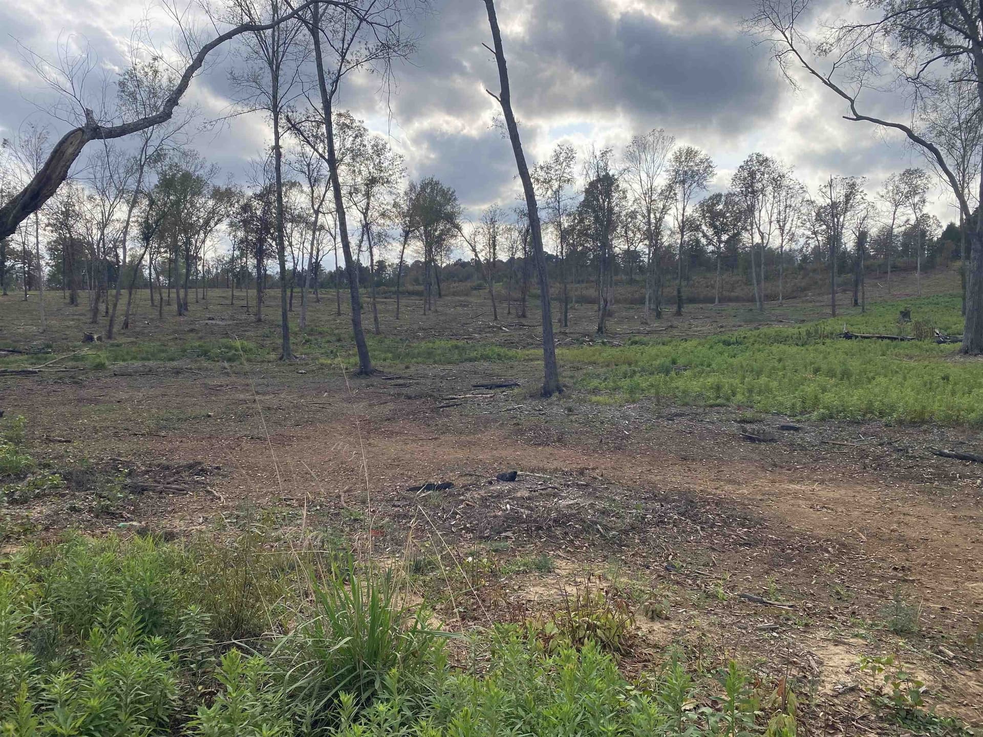 13.04 acres in Upshur County - photo 6