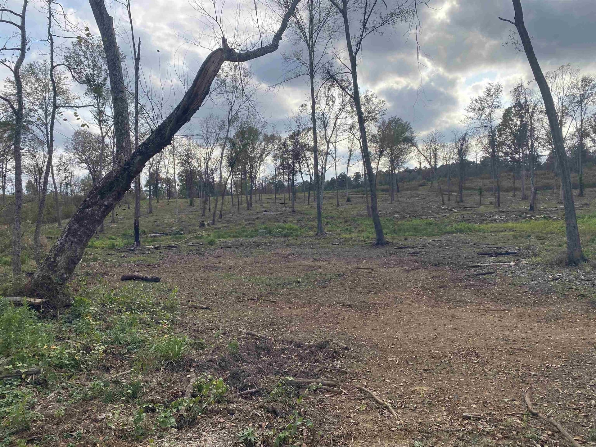 13.04 acres in Upshur County - photo 3