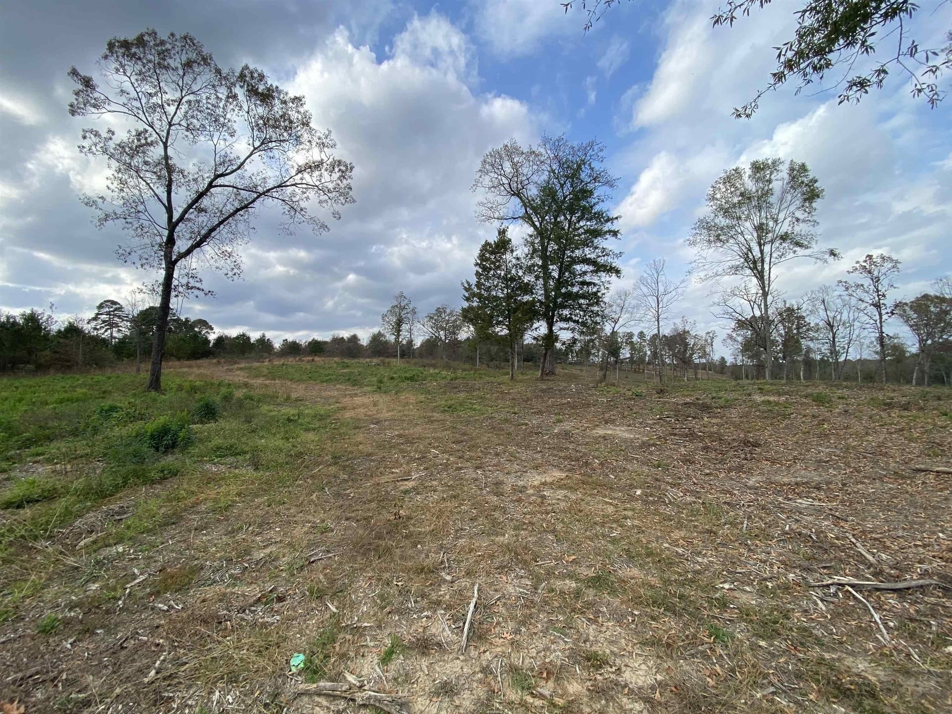 13.04 acres in Upshur County - photo 7