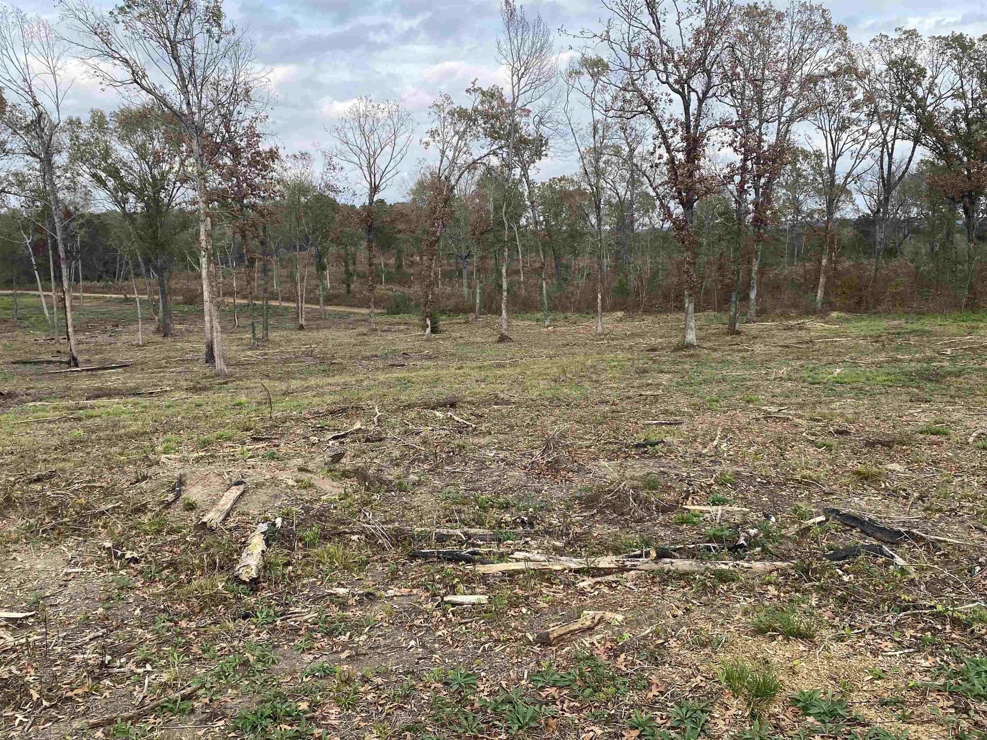 13.04 acres in Upshur County - photo 16
