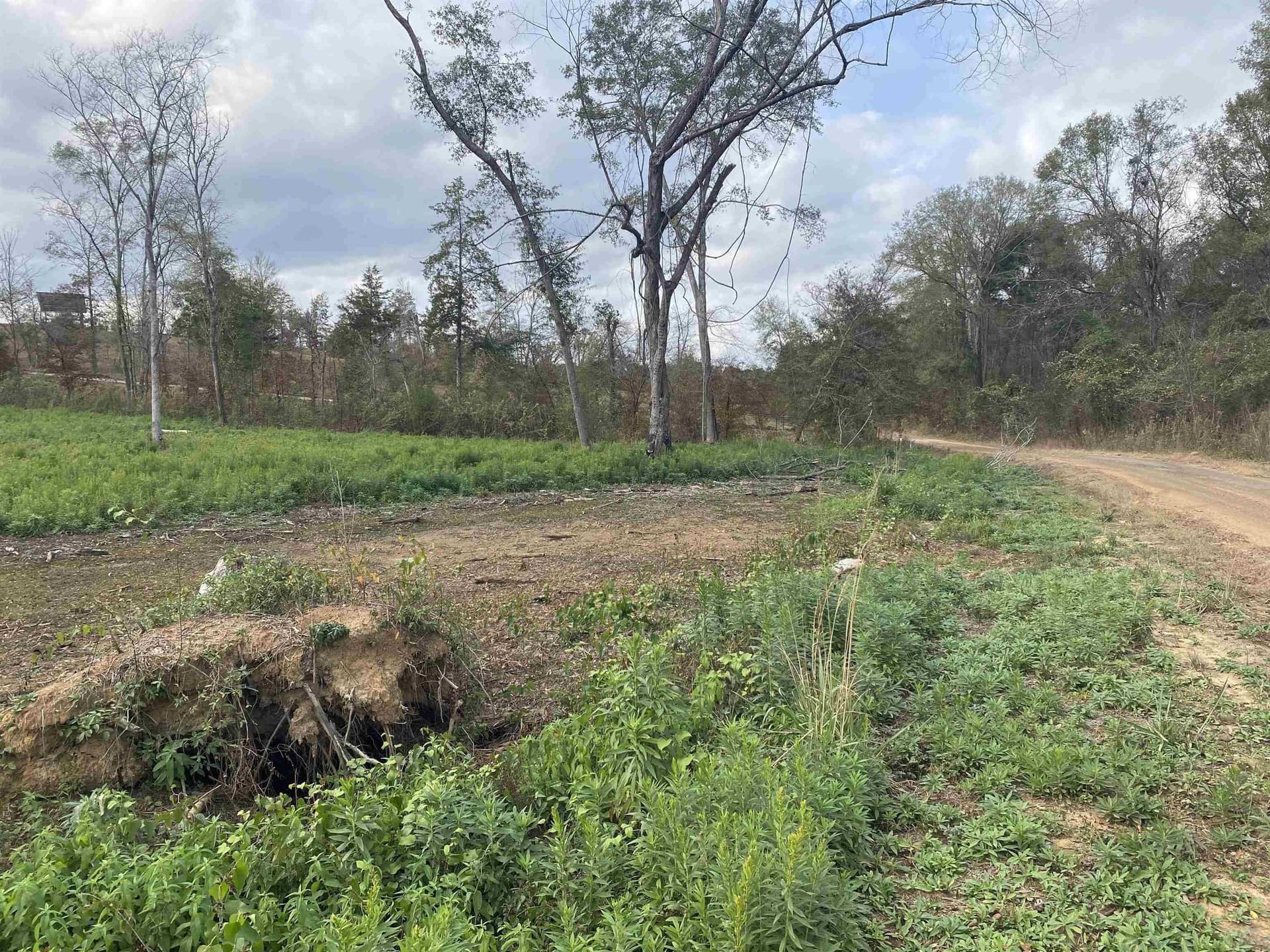 13.04 acres in Upshur County - photo 5