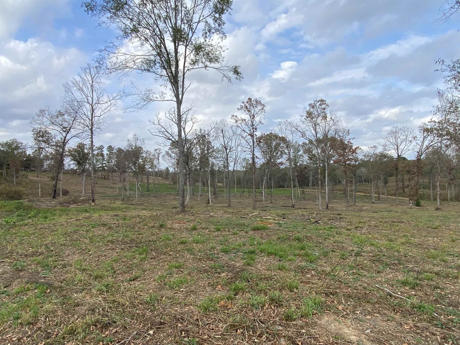 13.04 acres in Upshur County - photo 10
