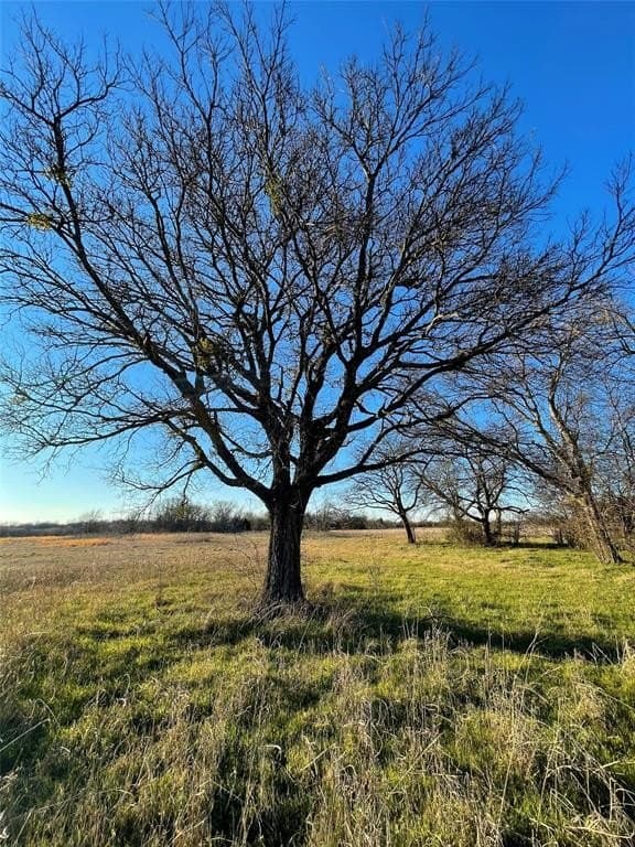 57.65 acres in Hunt County - photo 4