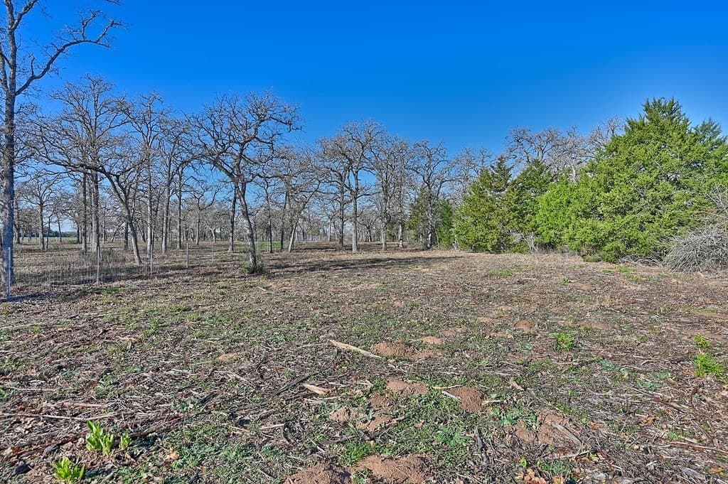 125 acres in Colorado County - photo 10