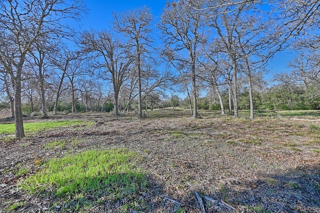 125 acres in Colorado County - photo 6