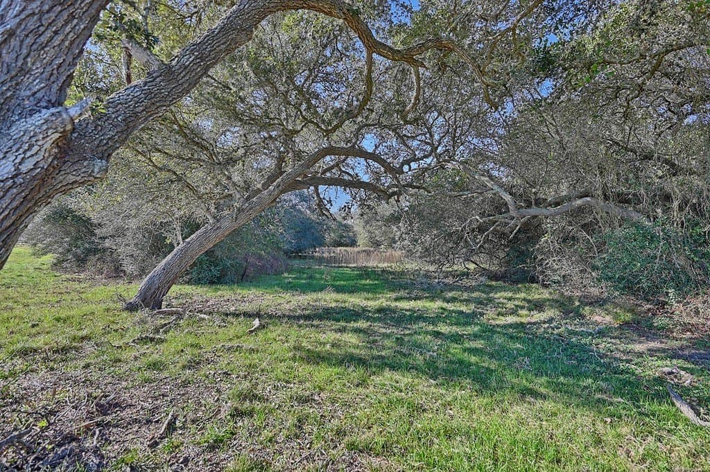 125 acres in Colorado County - photo 2