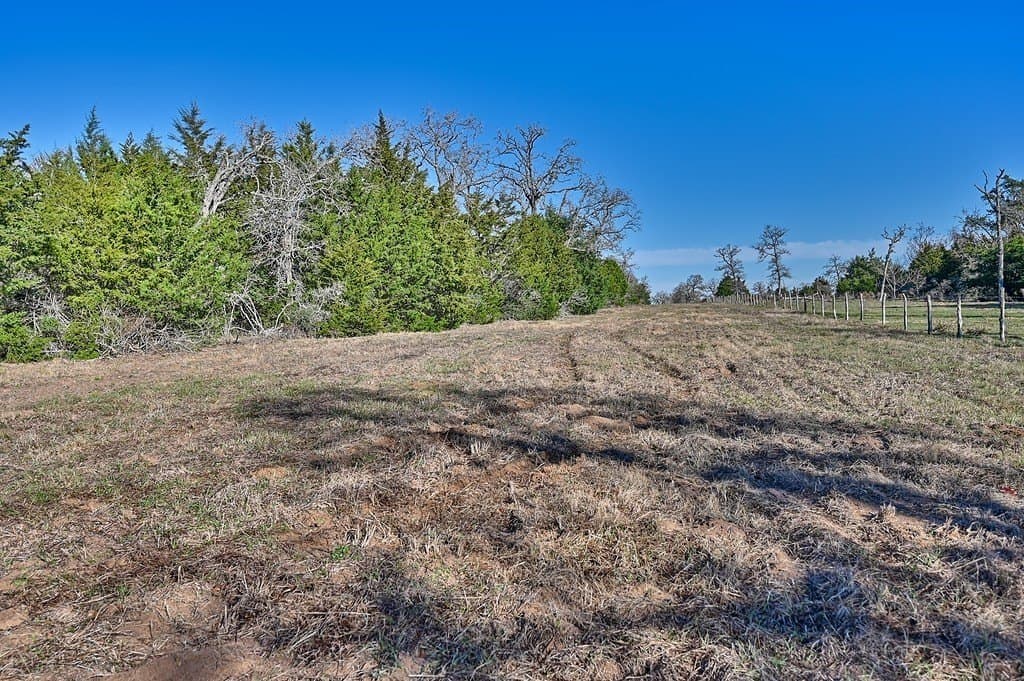 125 acres in Colorado County - photo 15