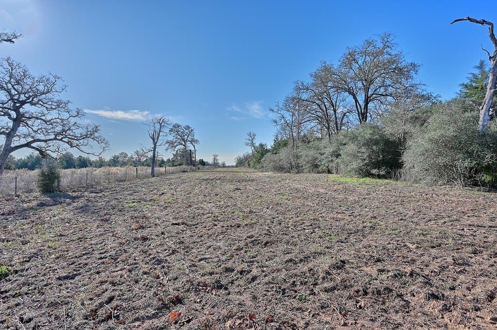 125 acres in Colorado County - photo 16