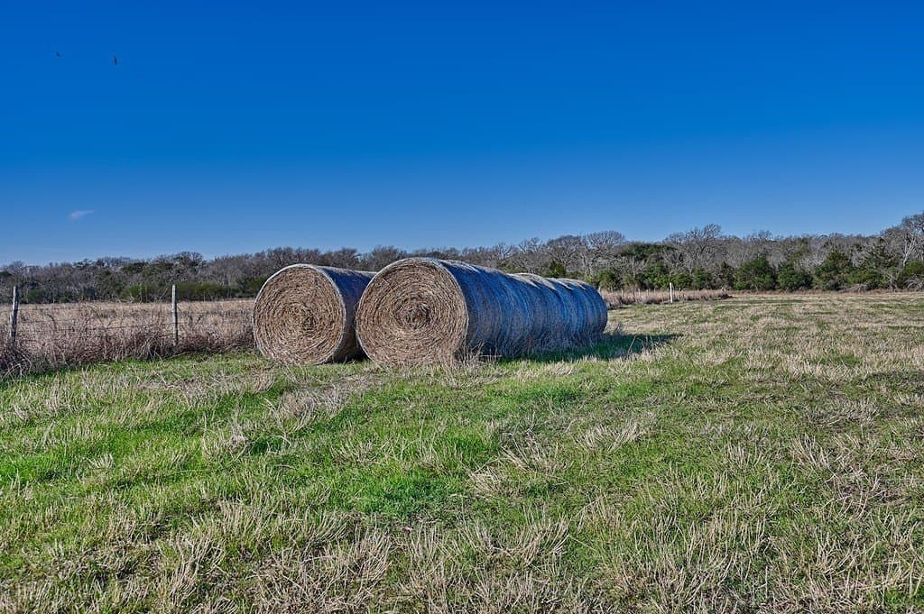 125 acres in Colorado County - photo 14