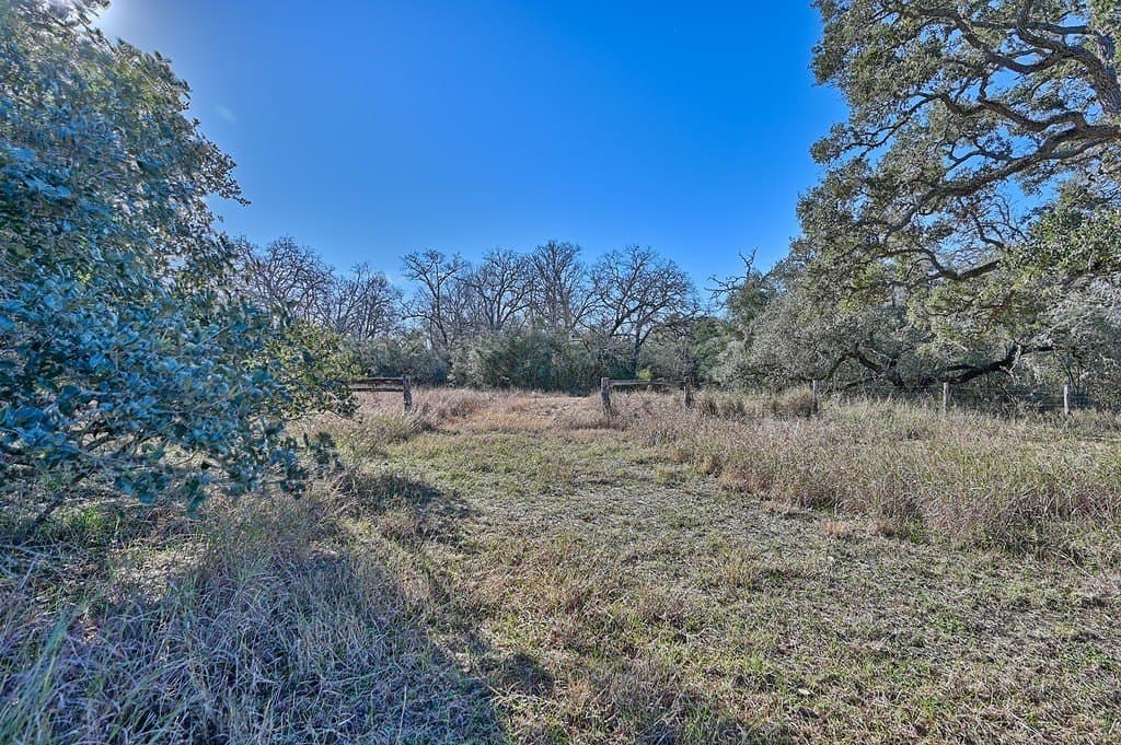 125 acres in Colorado County - photo 9