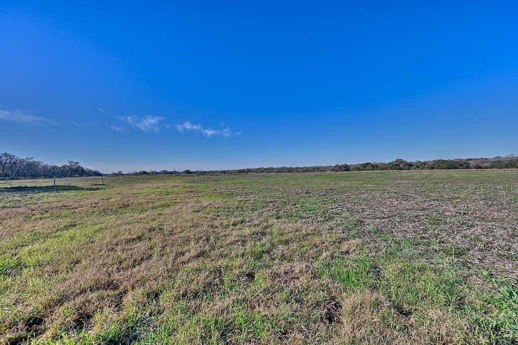 125 acres in Colorado County - photo 13