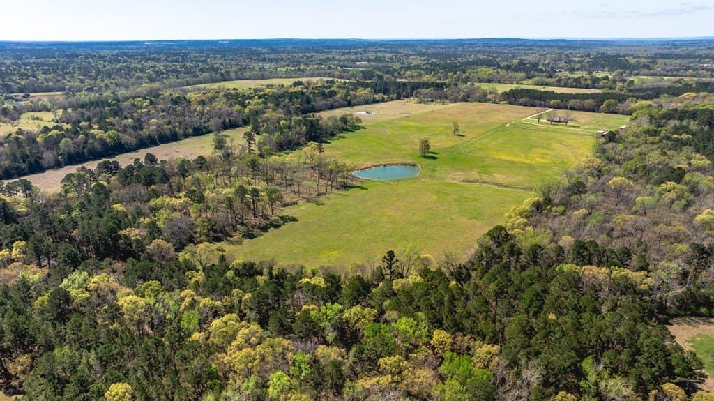 54 acres in ANDERSON County - photo 43
