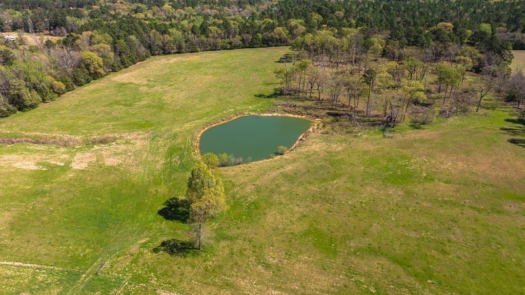 54 acres in ANDERSON County - photo 12