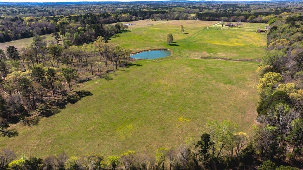 54 acres in ANDERSON County - photo 44
