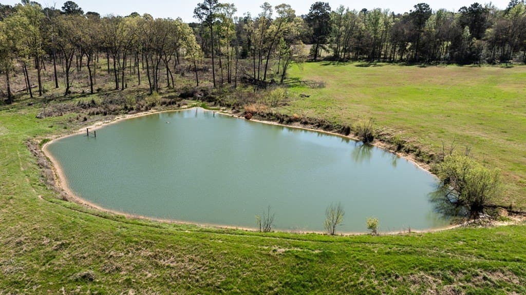 54 acres in ANDERSON County - photo 7