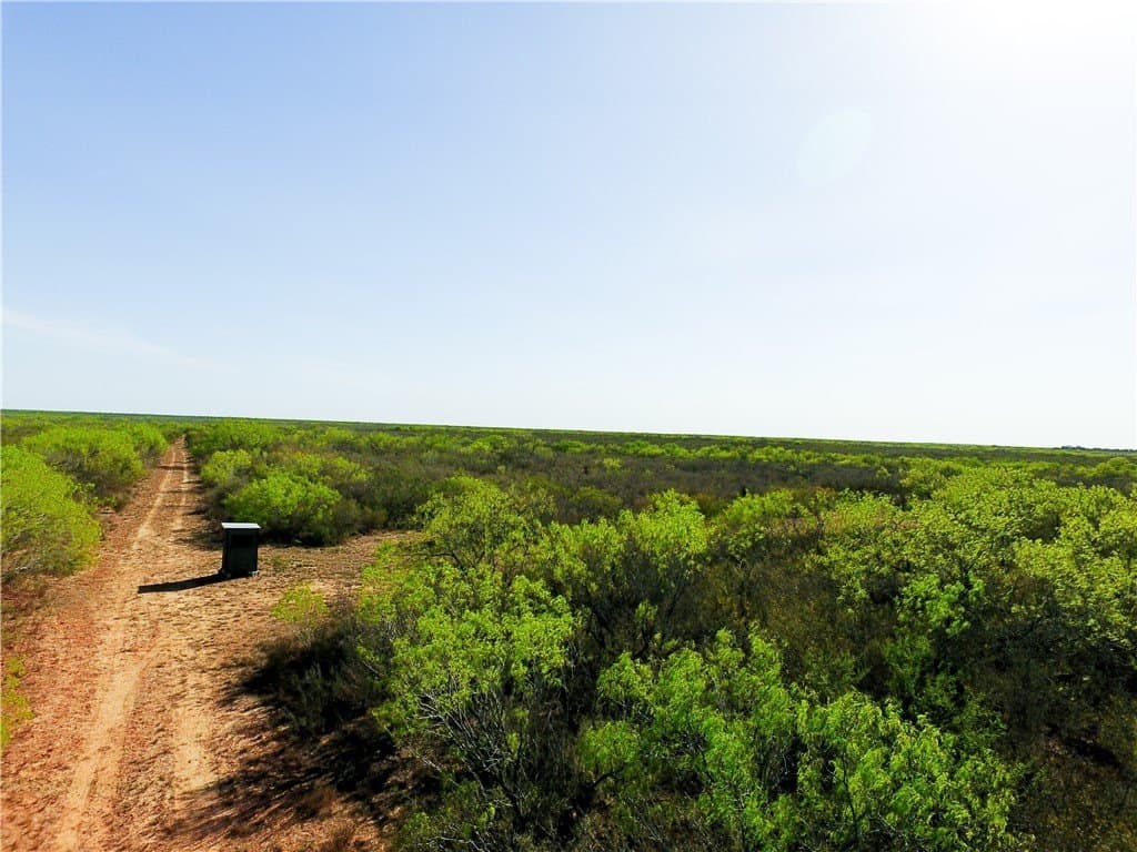 77.78 acres in Duval County - photo 7