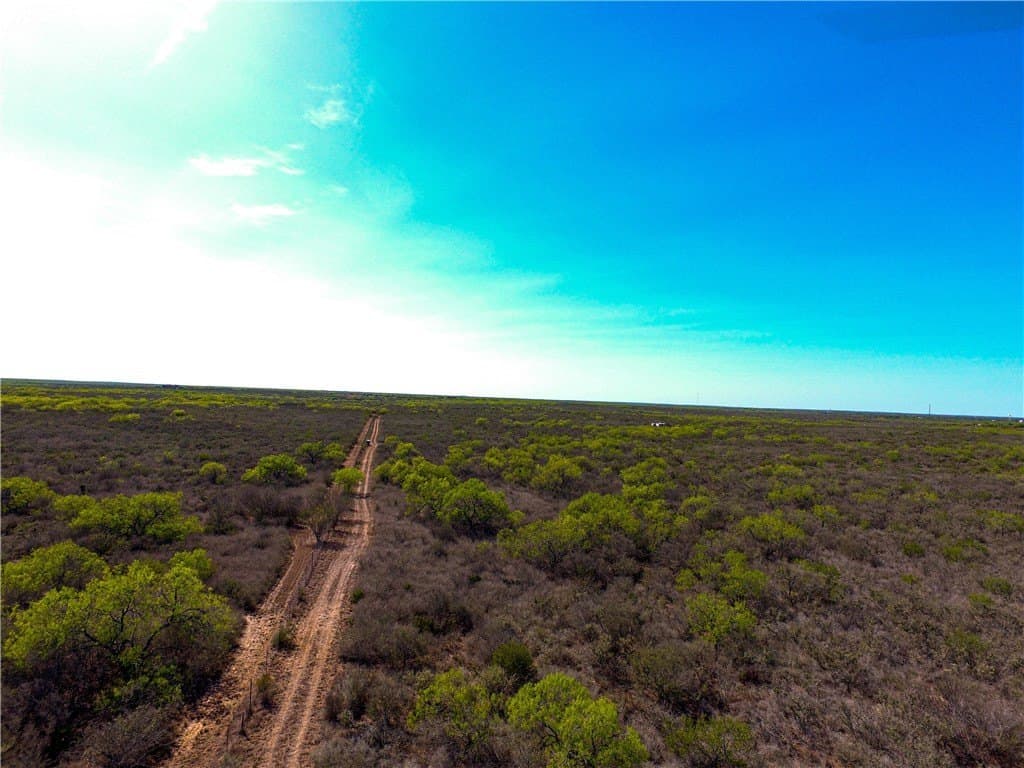 77.78 acres in Duval County - photo 3