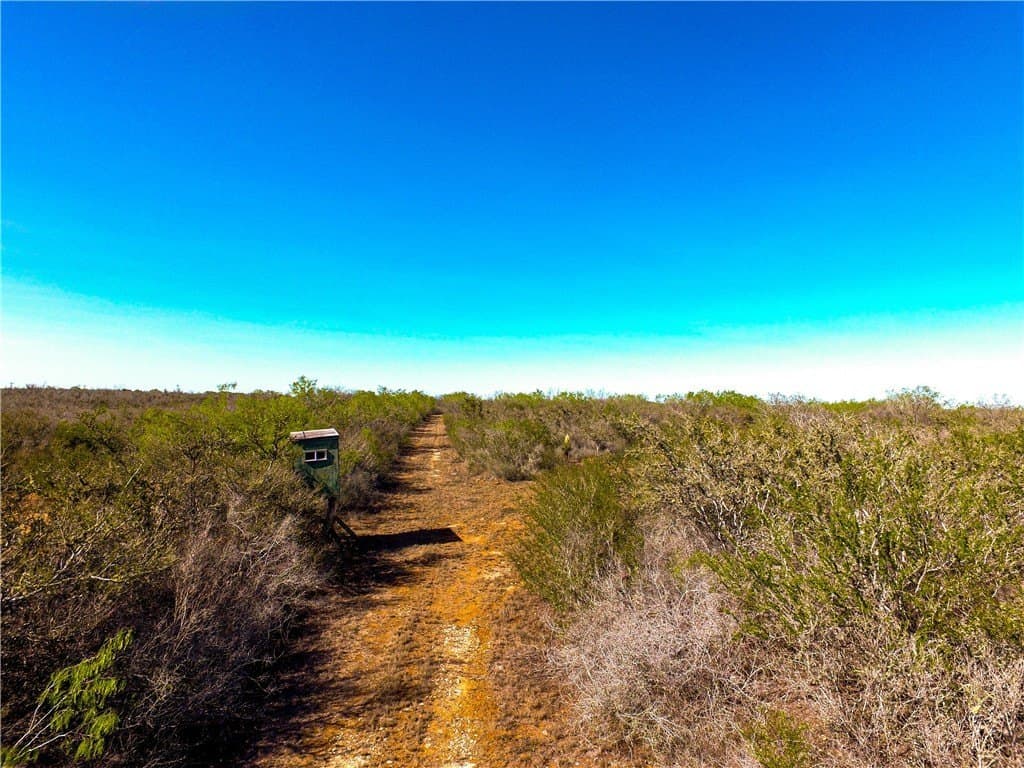 77.78 acres in Duval County - photo 5