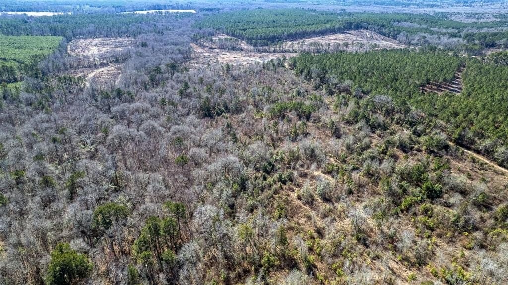 18.8 acres in Cass County - photo 6