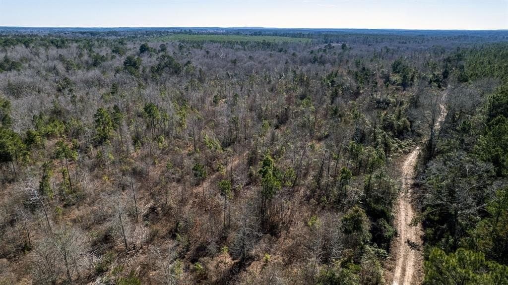 18.8 acres in Cass County - photo 7