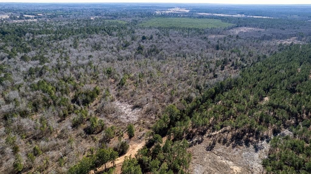 18.8 acres in Cass County - photo 4