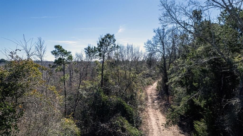 18.8 acres in Cass County - photo 9